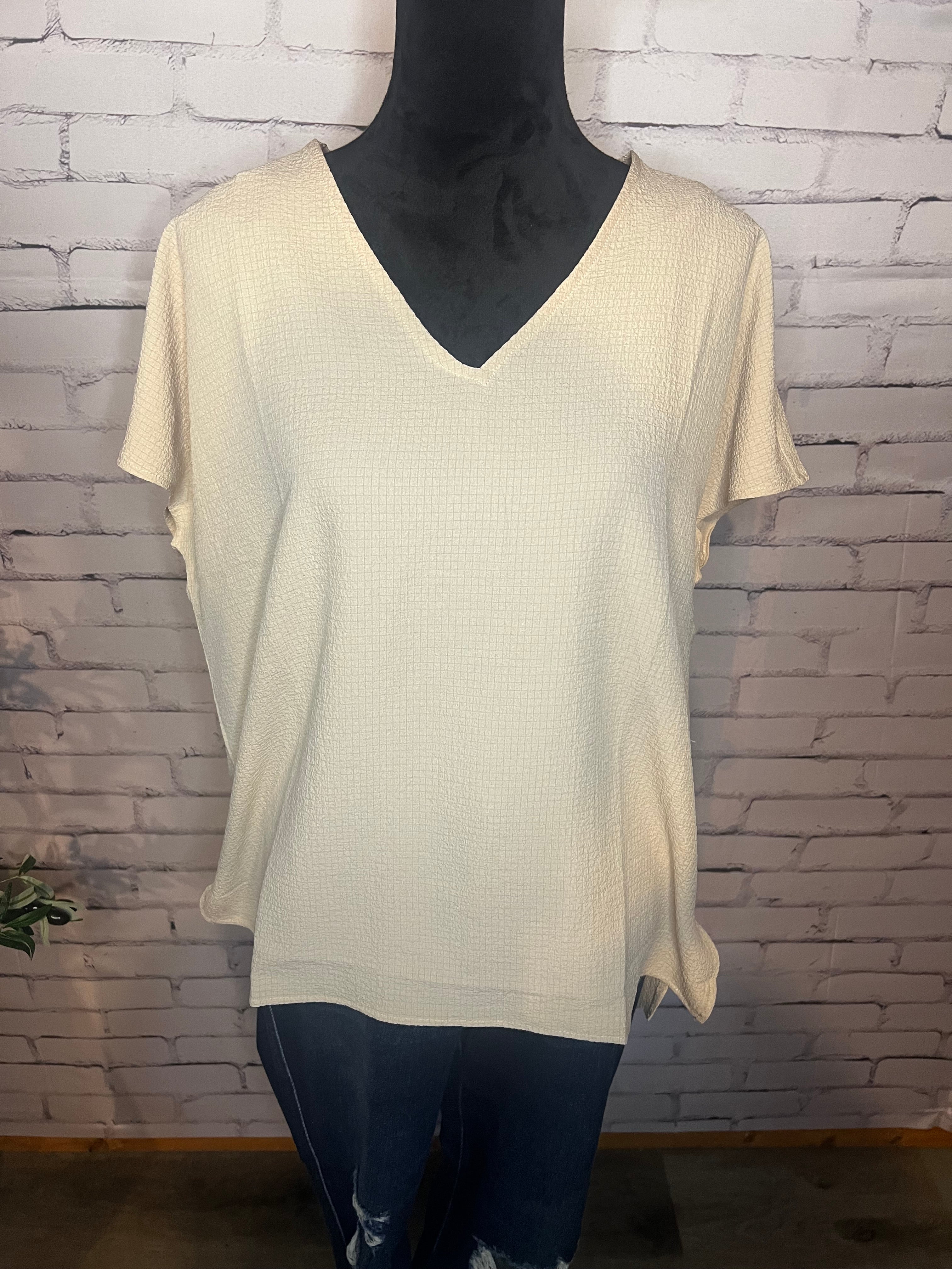Let Me Be Your Wings V-Neck Top in Taupe